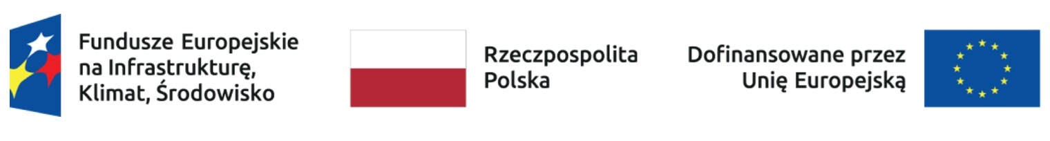 Logotyp programu FEnIKS